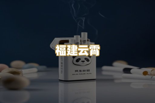 福建云霄